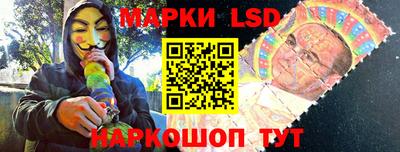 apvp Свободный