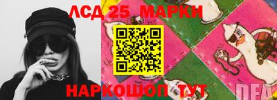 apvp Свободный
