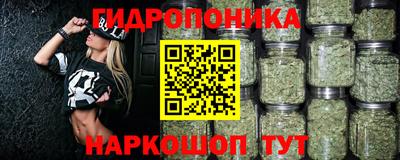 apvp Свободный