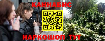 apvp Свободный