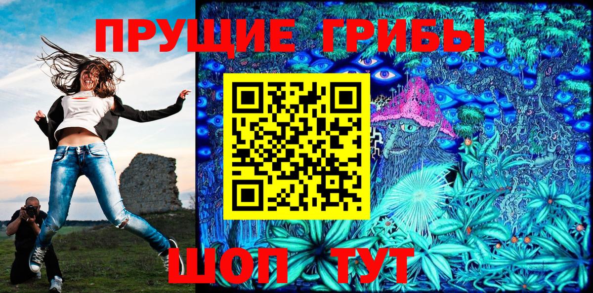Псилоцибиновые грибы Psilocybine cubensis Новокубанск