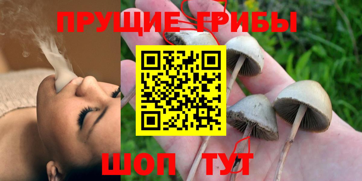 Новокубанск  Псилоцибиновые грибы прущие грибы  Вход с VPN  купить  цена  Галлюциногенные грибы Psilocybine cubensis 